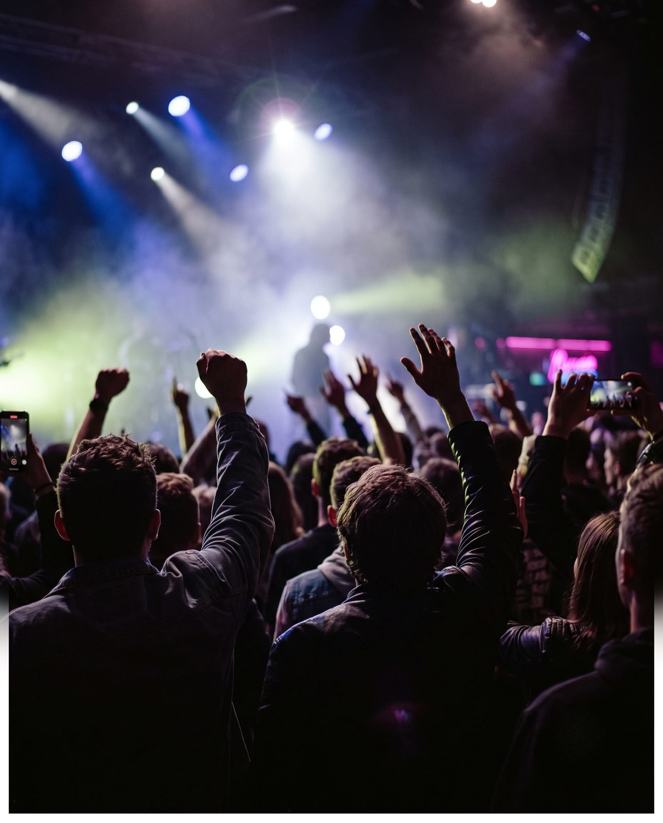Entertainment — a live gig crowd
